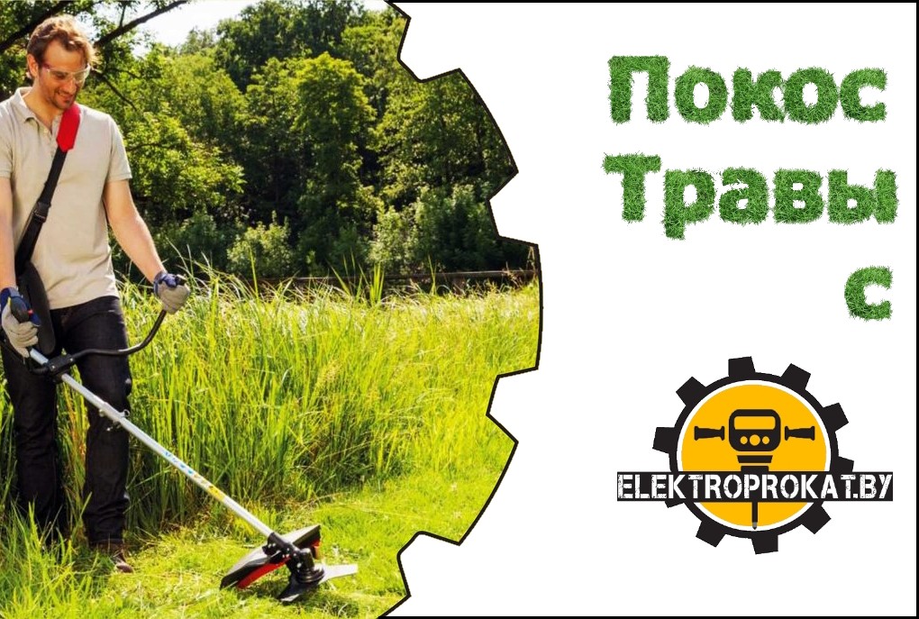 бензиновый триммер в аренду